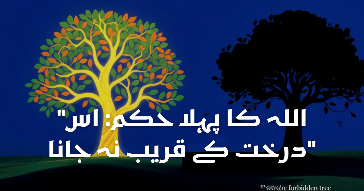Your paragraph text (1) 🌿 Hazrat Adam (A.S) in Jannah (before descent)